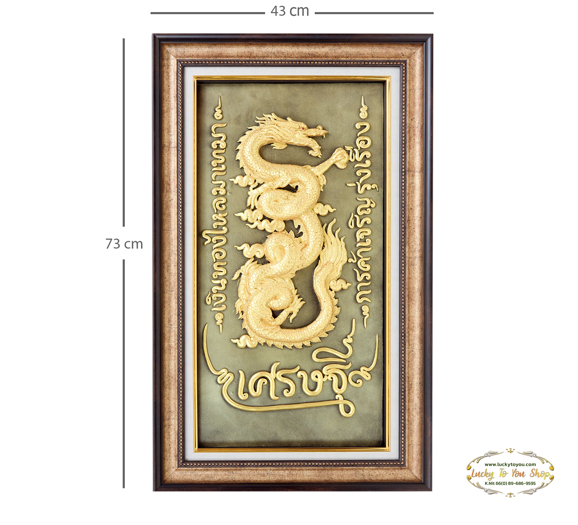 กรอบเรซิ่นมังกรL